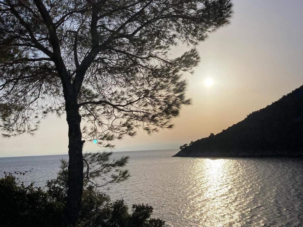 Alexandra Sofia Daire Stafylos Dış mekan fotoğraf